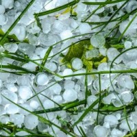 Hail Damage after Thunderstorms